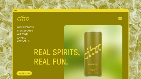 Web interface mockup for Citro brand identity featuring a green ginger lime canned cocktail set against an ice background