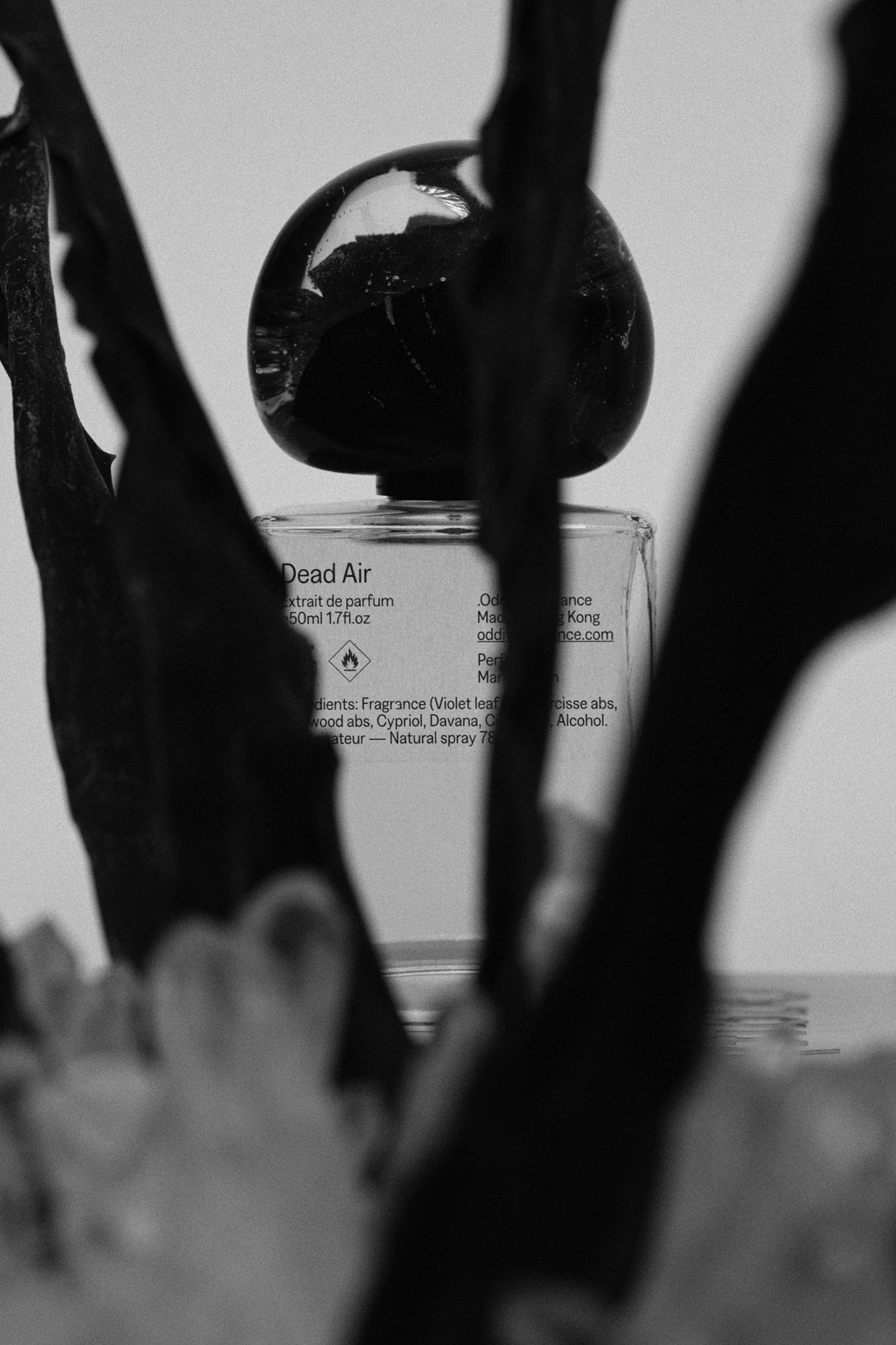 Monochrome product photograph of Dead Air perfume bottle framed by dark foliage and textured elements.