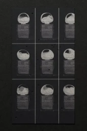 Grid of nine grainy black-and-white printed bottle graphics on dark textured paper