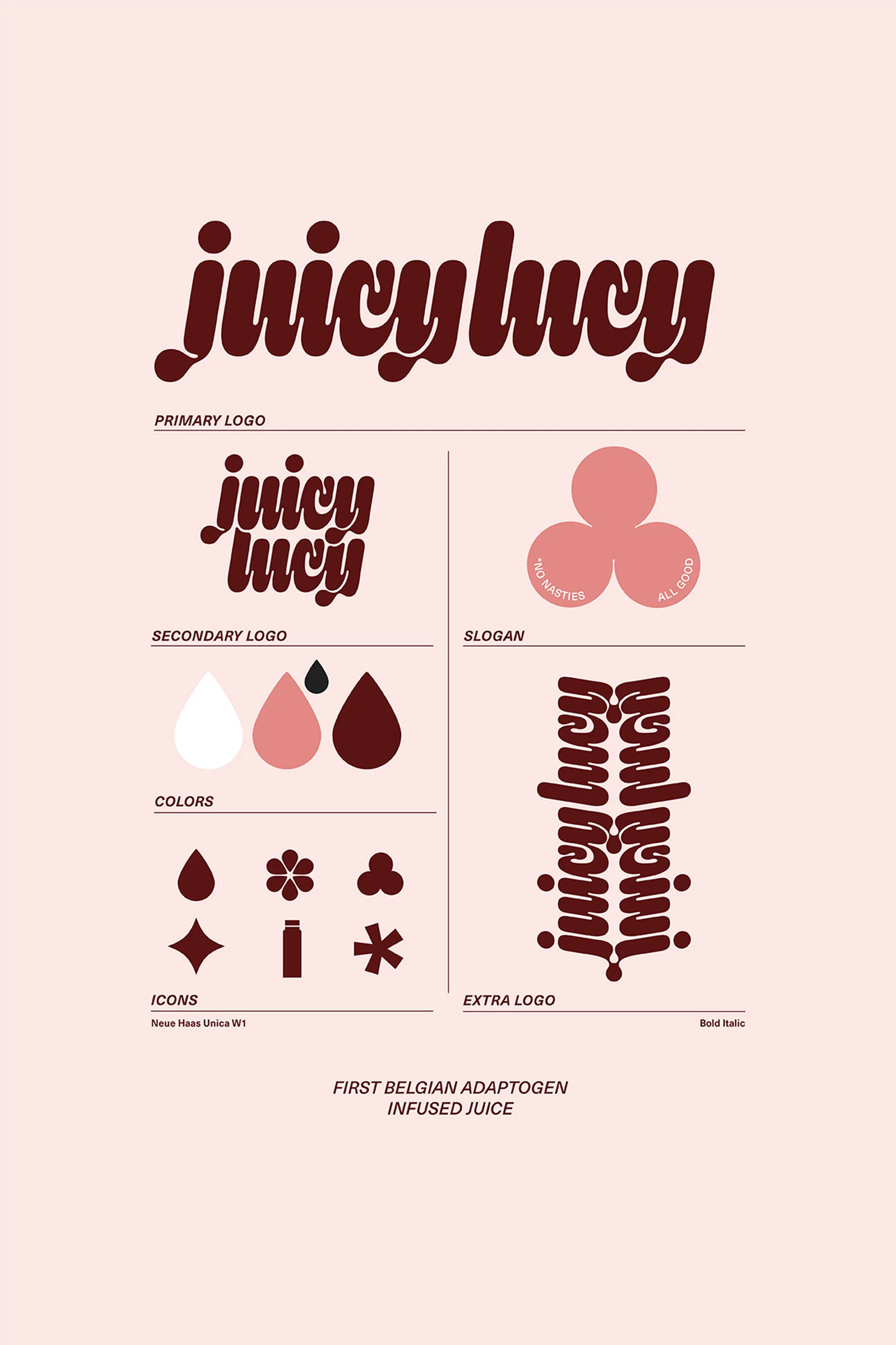 Graphic design showcasing the Juicy Lucy logo with variations including primary, secondary, slogan, colors, icons, and extra logo.