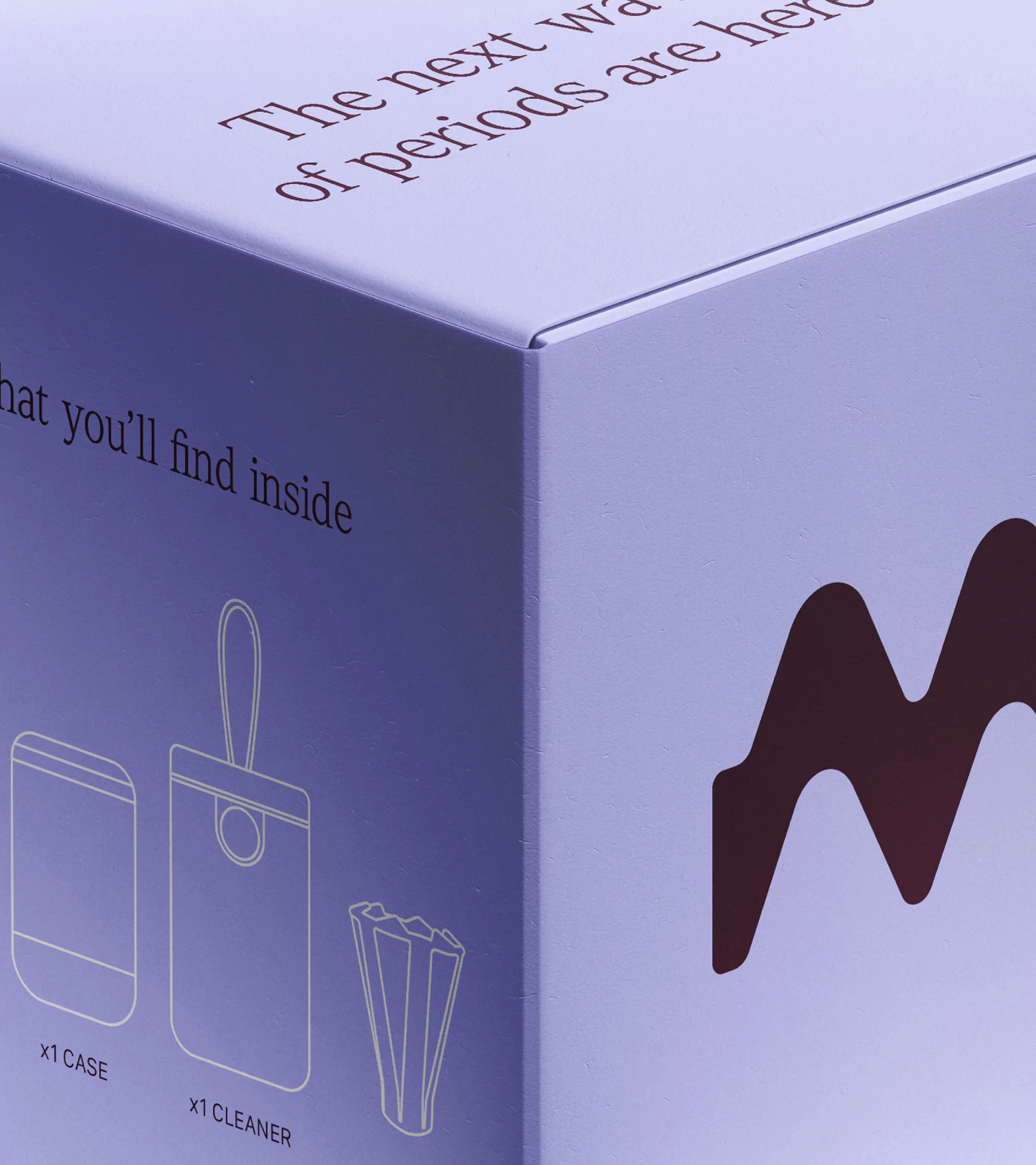 Close-up of a lavender box with a deep burgundy logo and text; contents include a carrying case and cleaner, likely related to feminine hygiene.
