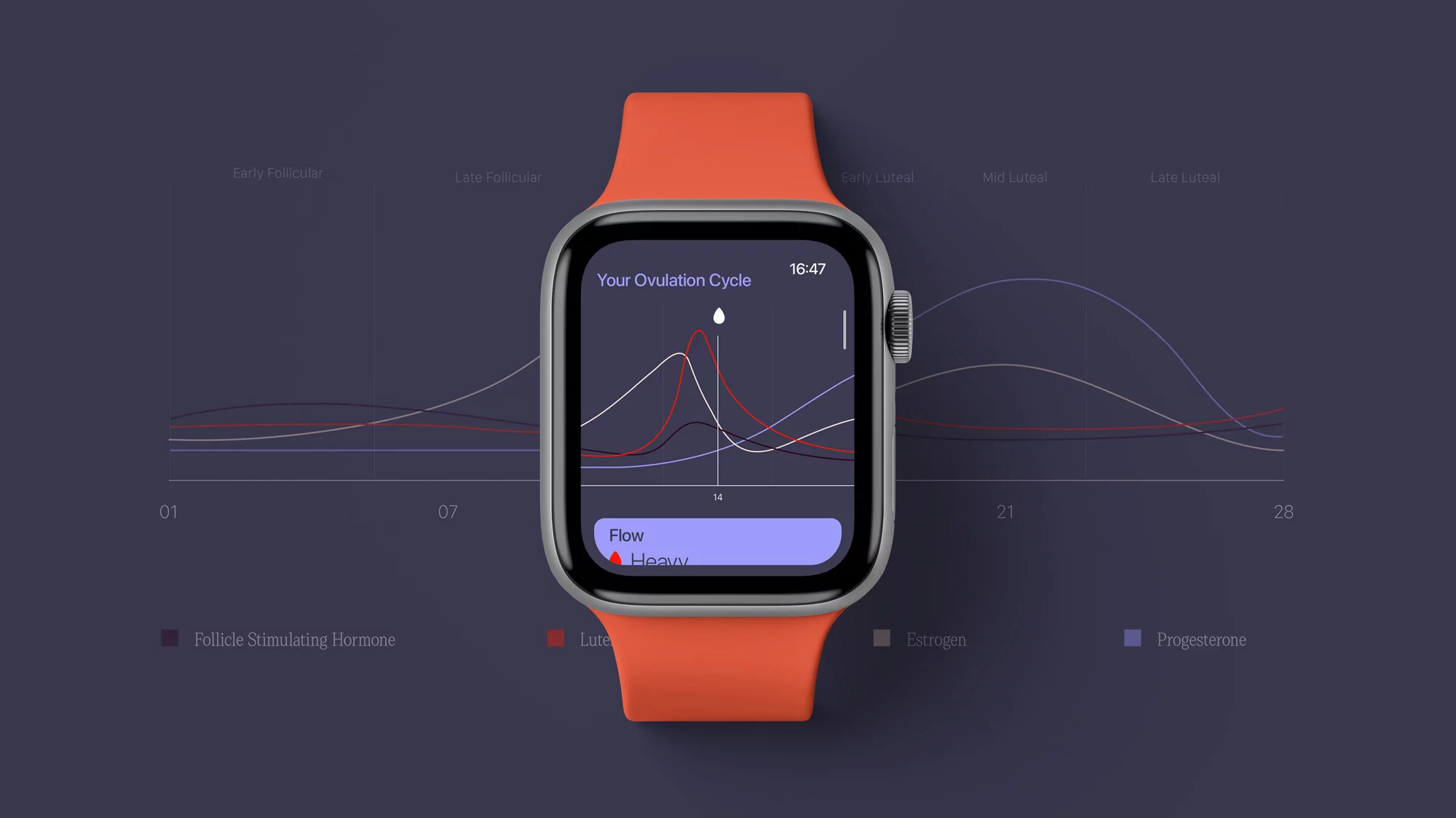 Smartwatch displaying an ovulation cycle graph with hormonal phase indications and a user interface showing current flow status.