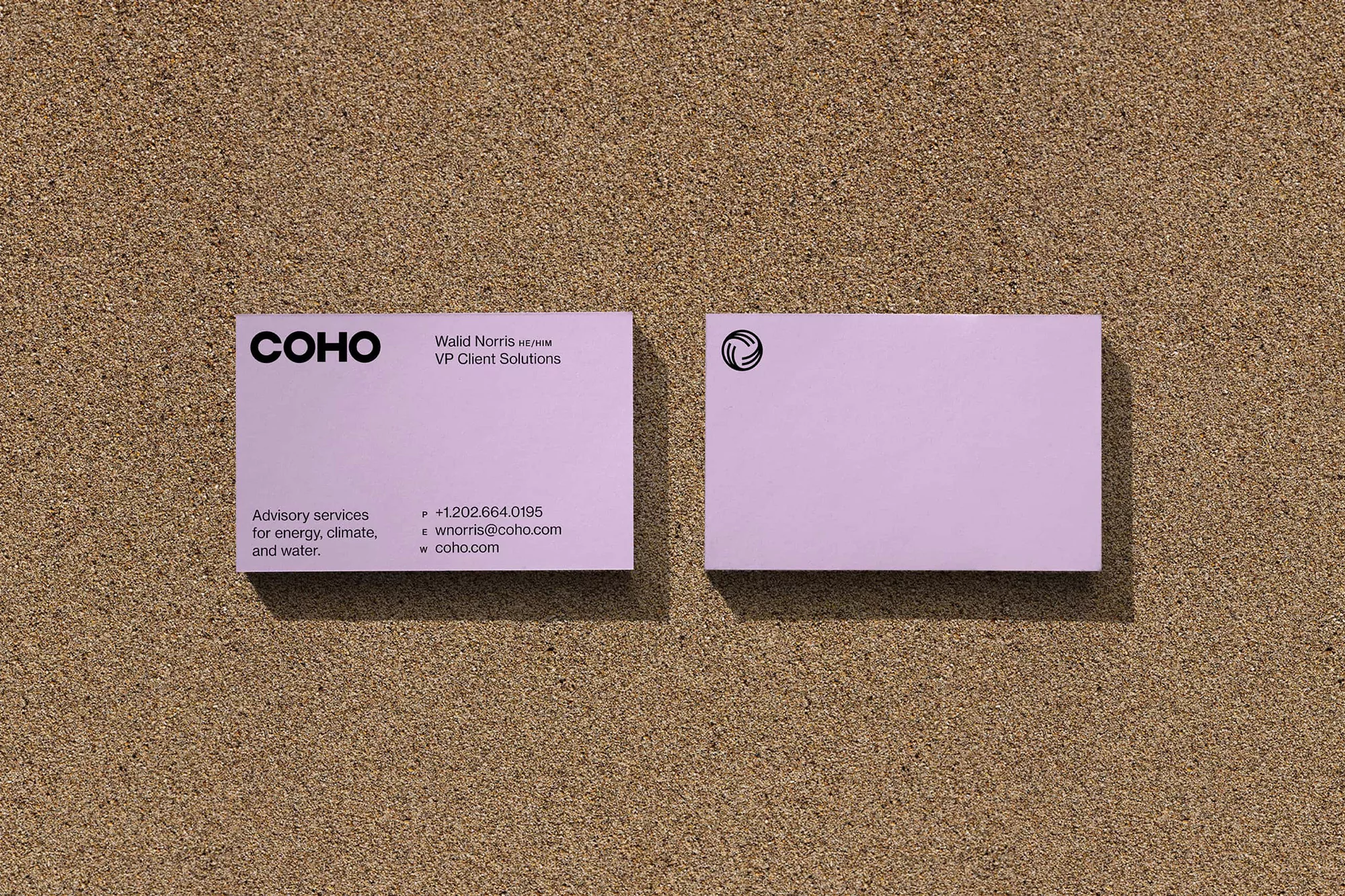 Two lavender business cards with the COHO logo and contact information arranged on a textured brown surface in a studio setting.