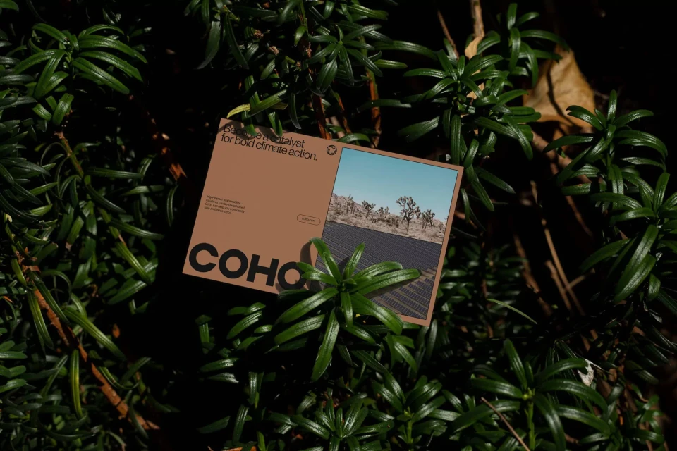 Close-up of a Coho climate action business card nestled in vibrant green foliage, featuring a desert landscape and solar panels.
