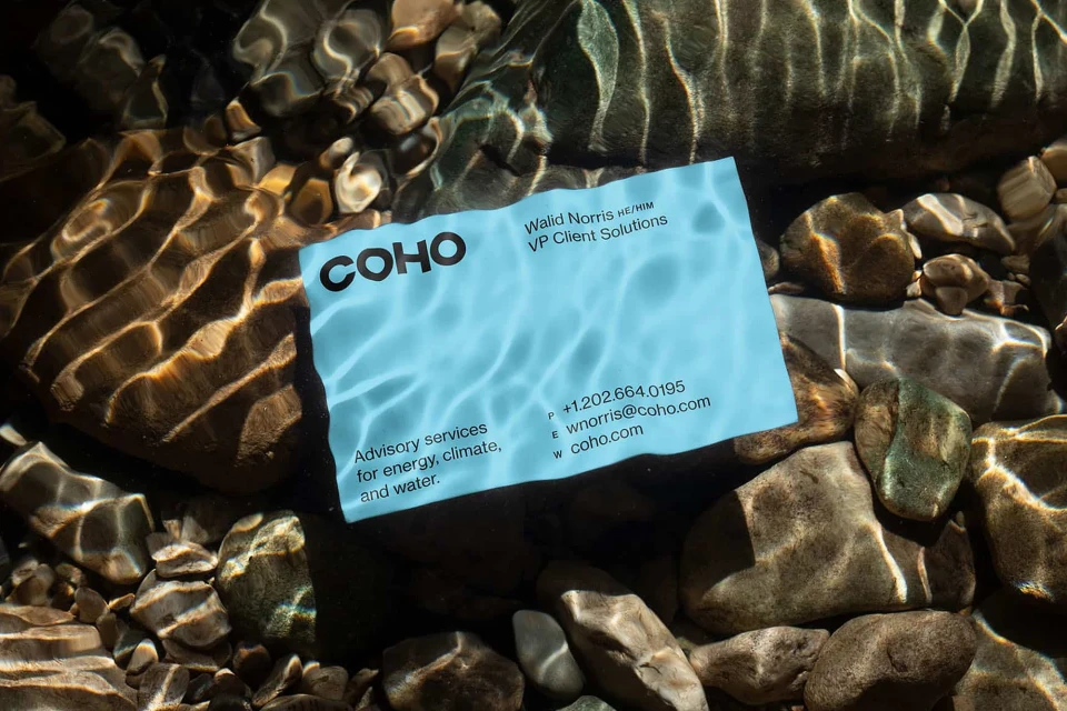 A blue business card from COHO is submerged in shallow water with rocks visible. The card has text and a water-like design.