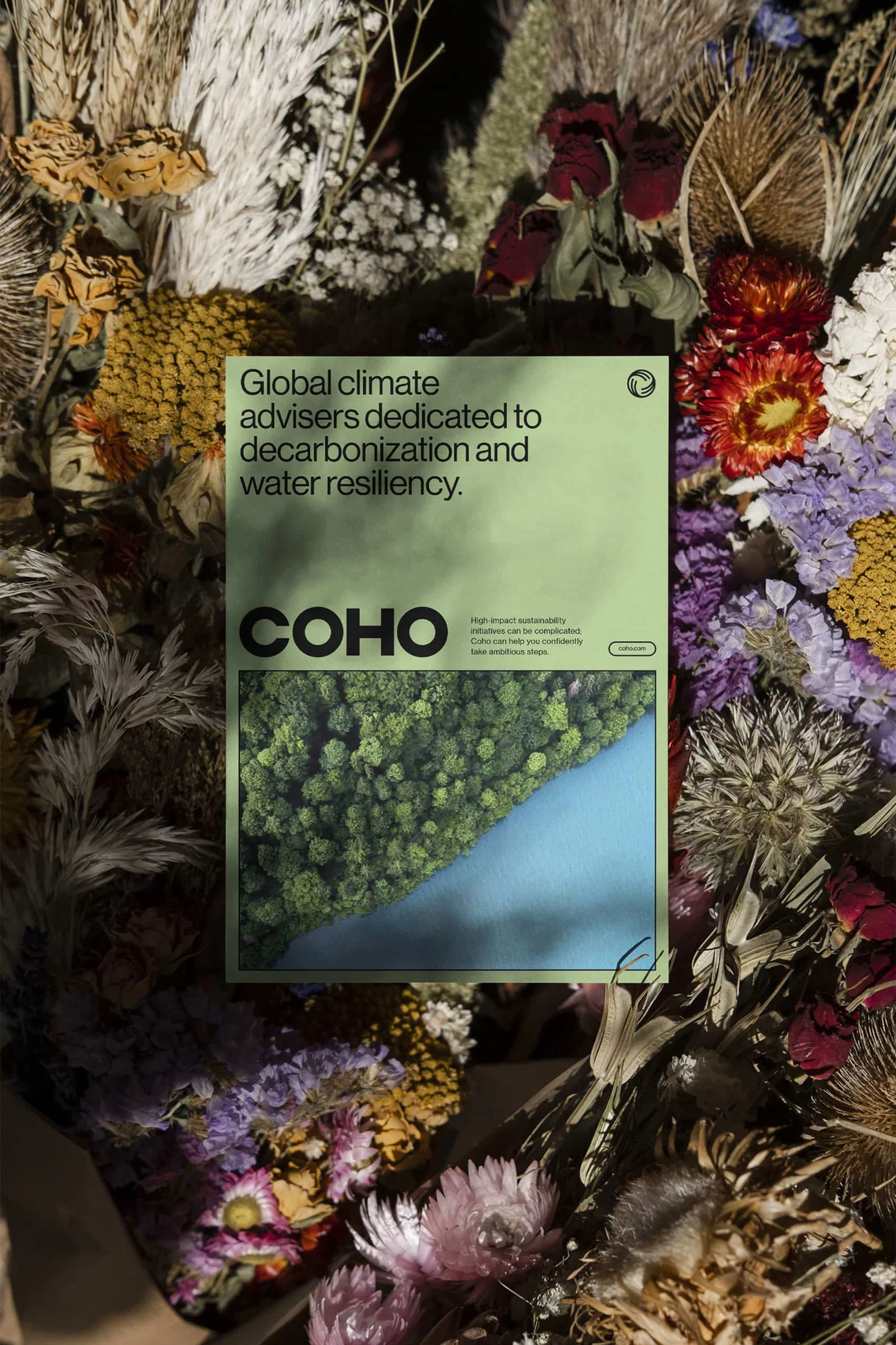 Promotional image for COHO on a bed of dried flowers with shades of green, white, red, and yellow; nature and climate change theme.