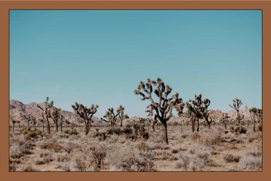 Desert landscape featuring Joshua trees, low shrubs, and arid mountains under a clear blue sky within a brown framed border