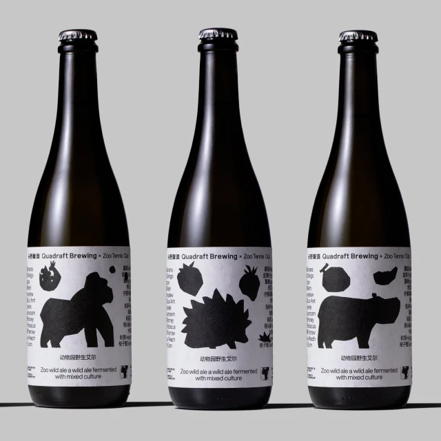 Brand Identity