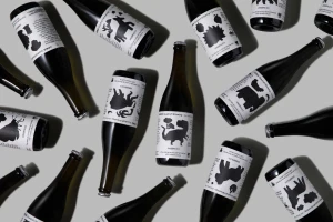 Several dark glass beer bottles with white silhouette-illustrated labels arranged diagonally on a light grey background.