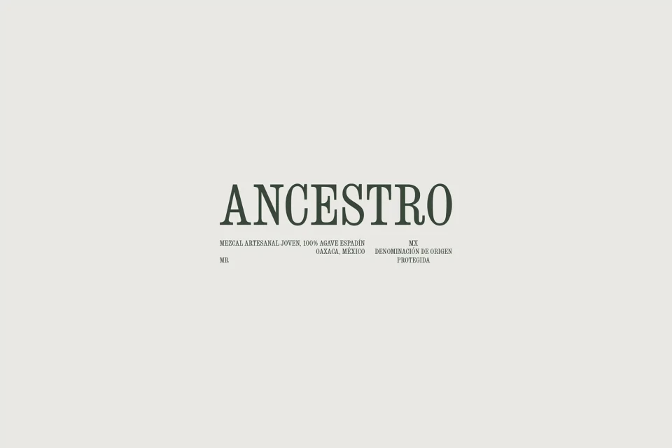 Brand Identity