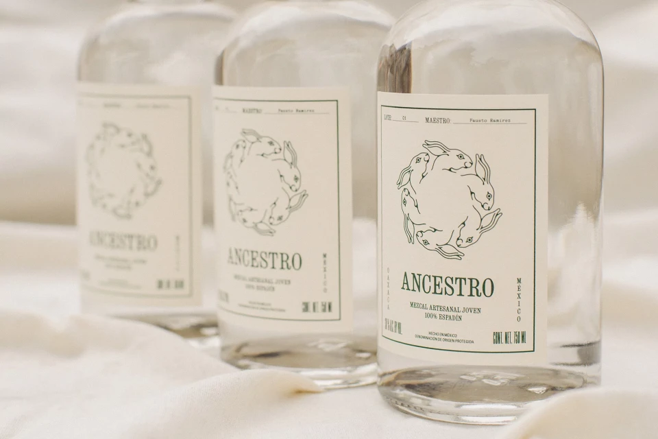 Brand Identity