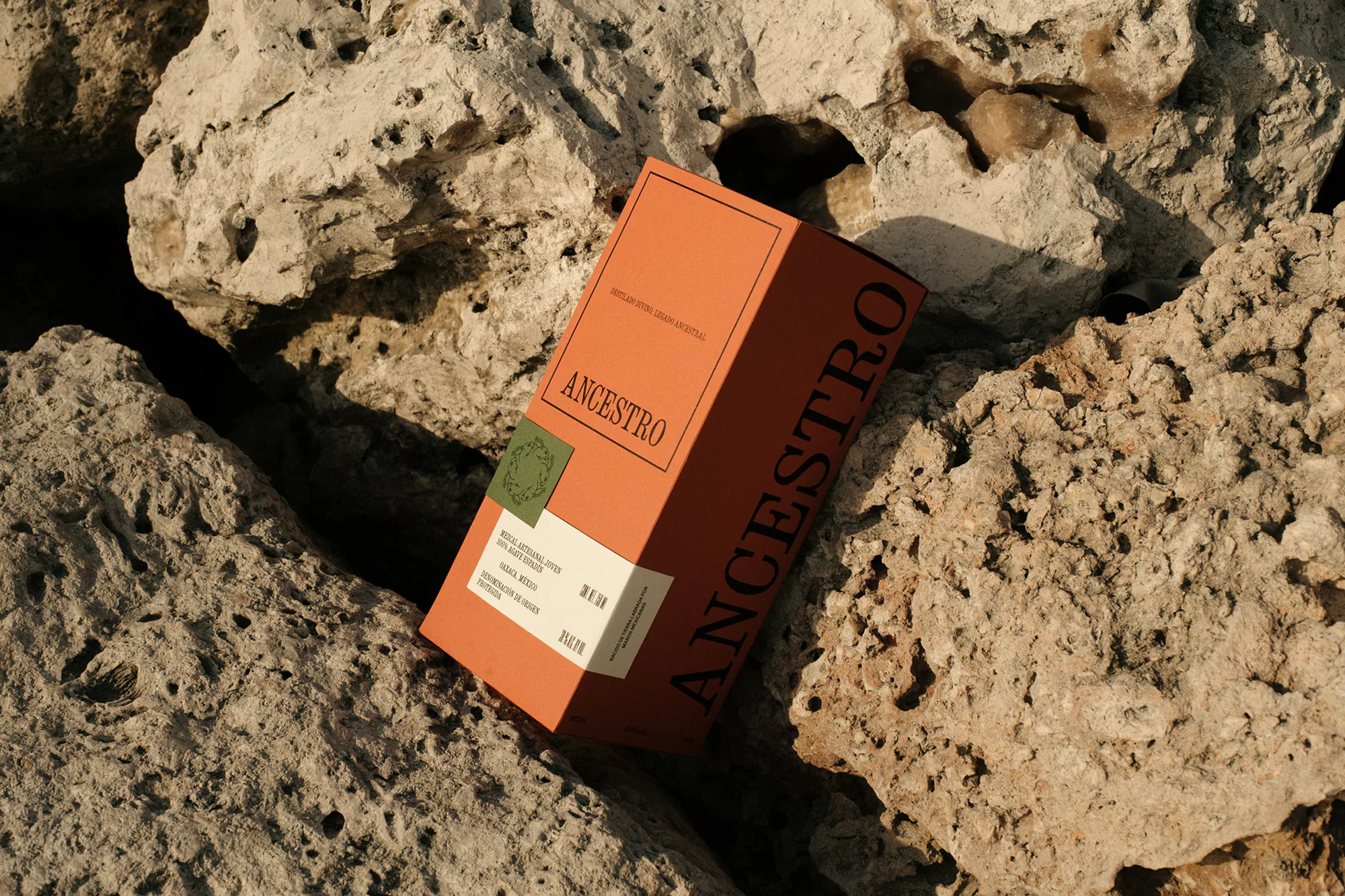 Aesthetic product shot: orange box with 'Ancestro' typography nestled amongst porous rocks in natural light. Minimalist design.