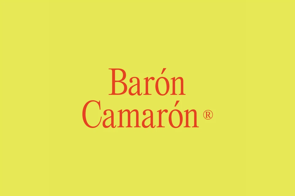 Brand Identity