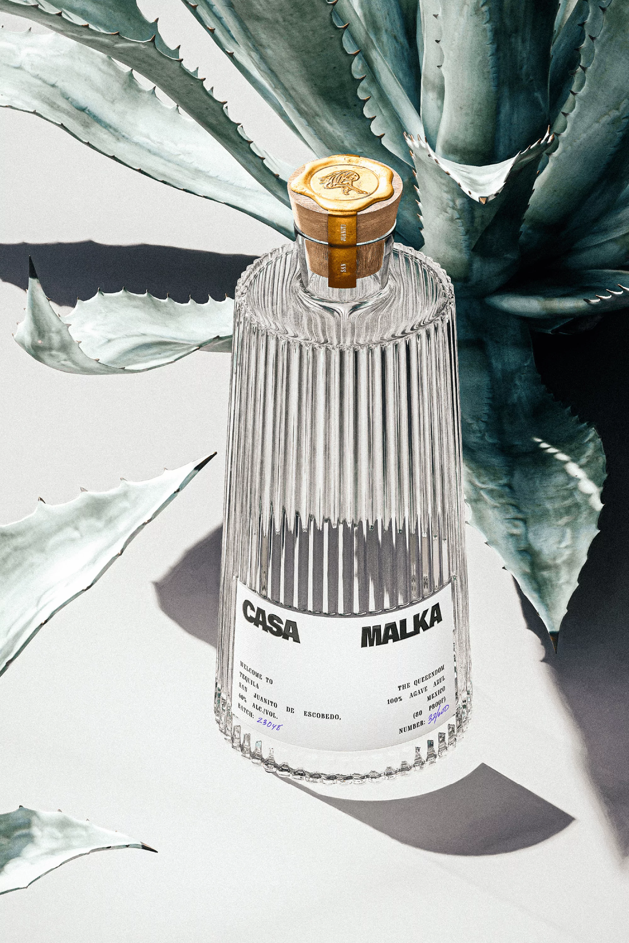 Clear glass bottle of Casa Malka liquor with agave plant background and white surface. The product shot shows off the beverage brand.