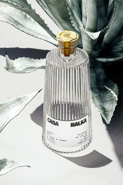 Crystal glass bottle with ribbed texture and gold wax seal standing in front of large agave plant leaves on white background