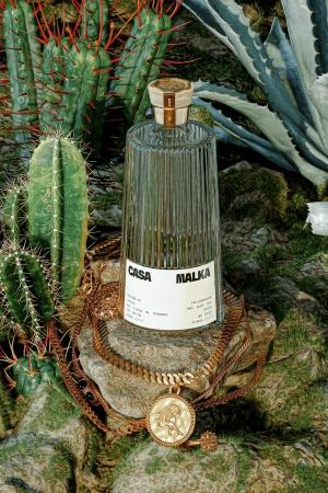 Fluted glass liquor bottle with a white label resting on a stone surrounded by cacti and moss, featuring a metallic pendant chain.