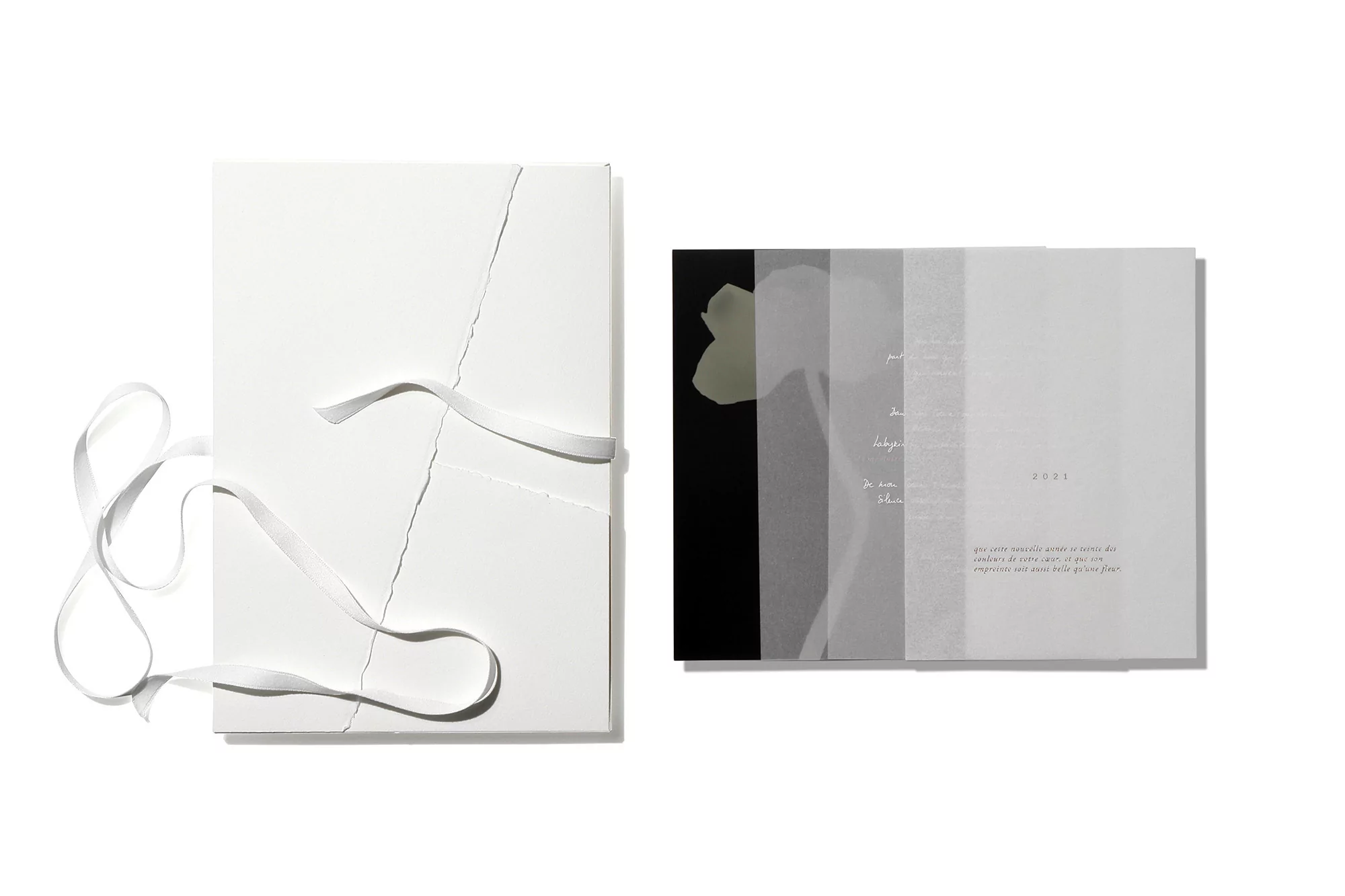 An open paper diary with flower image next to a closed diary with a ribbon tie, both against a clean white background.