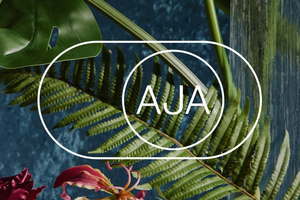 Brand Identity