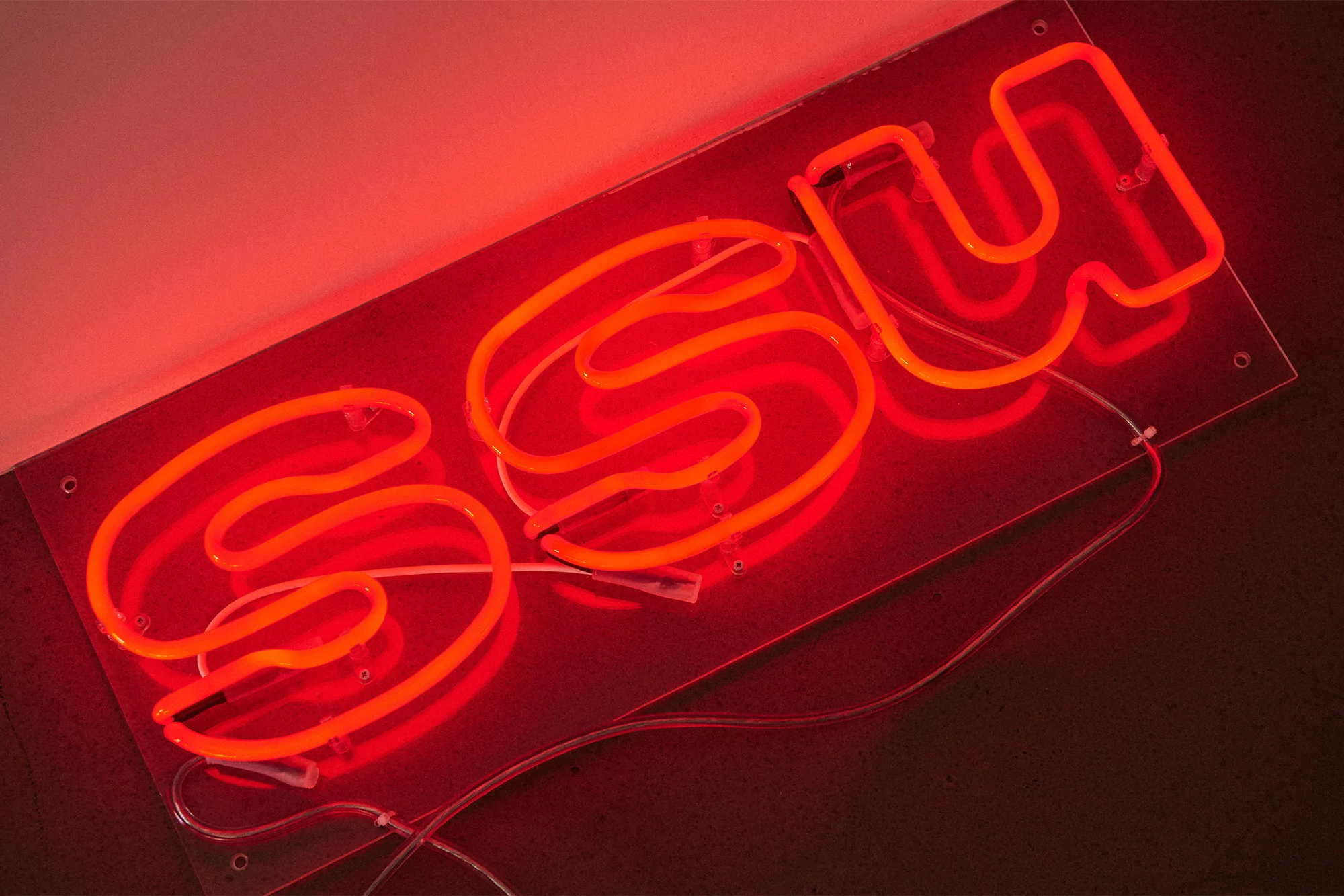 Illuminated neon sign with the letters SSW in orange-red against a dark background, mounted on a clear panel with visible wiring.