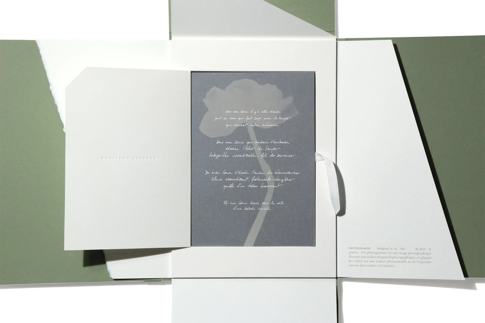 Brand Identity