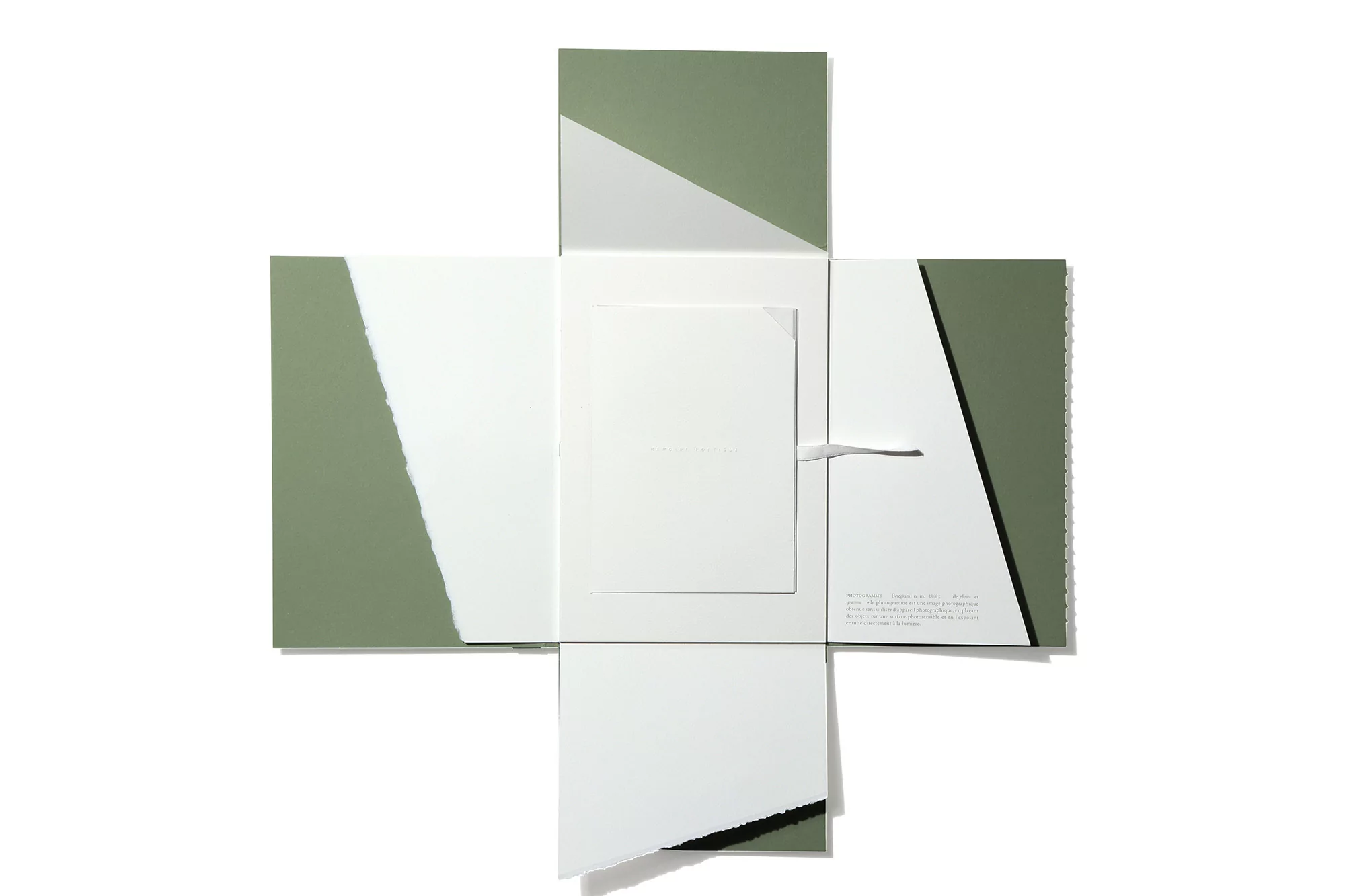 Minimalist composition with shades of white and sage green forming geometric shapes and shadows, creating an abstract design.