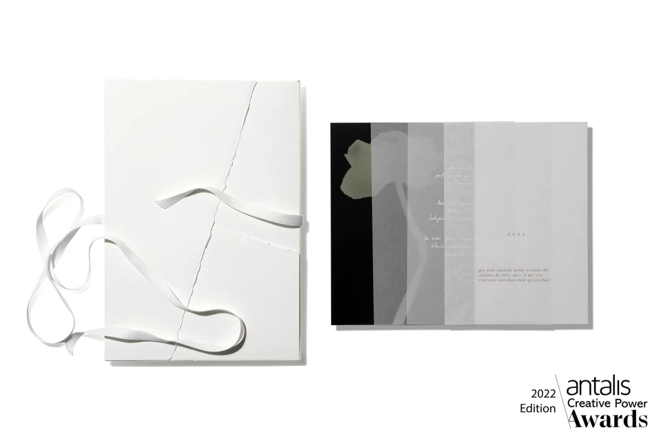 Brand Identity