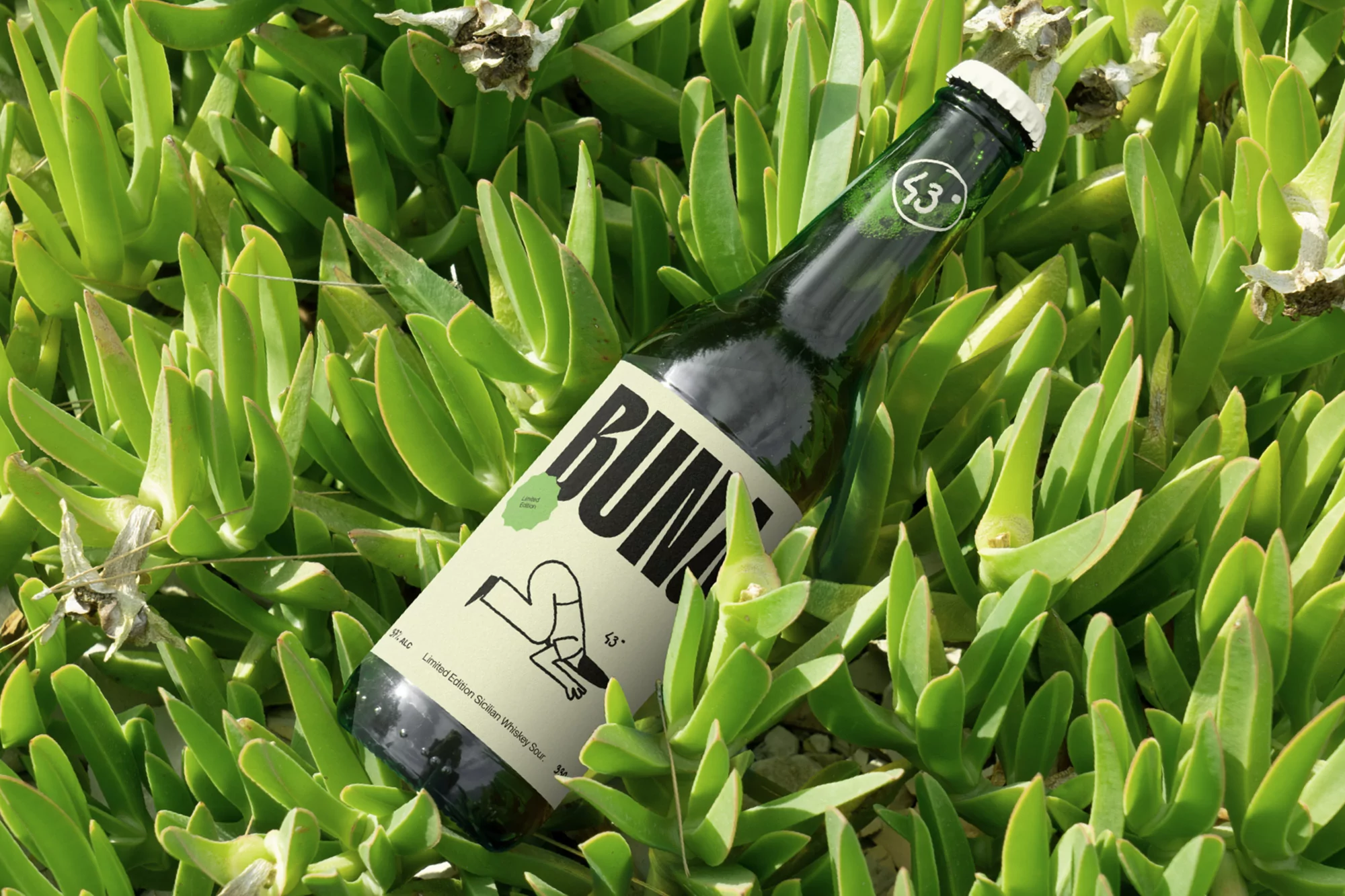 Green glass bottle of Runki beer nestled in vibrant succulent plants, creating a refreshing and natural beverage presentation.