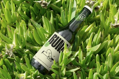 BUNA brand glass bottle nestled amongst thick green succulent leaves outdoors.