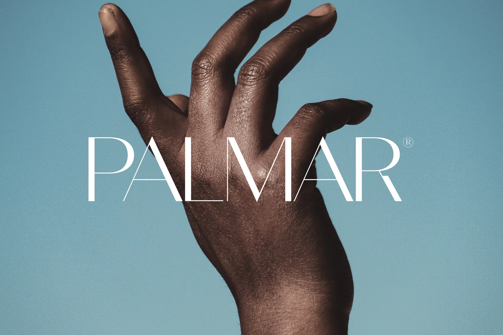 Close-up studio shot of an adult's hand against a light blue backdrop, emphasizing skin texture and featuring 'PALMAR' in white text.