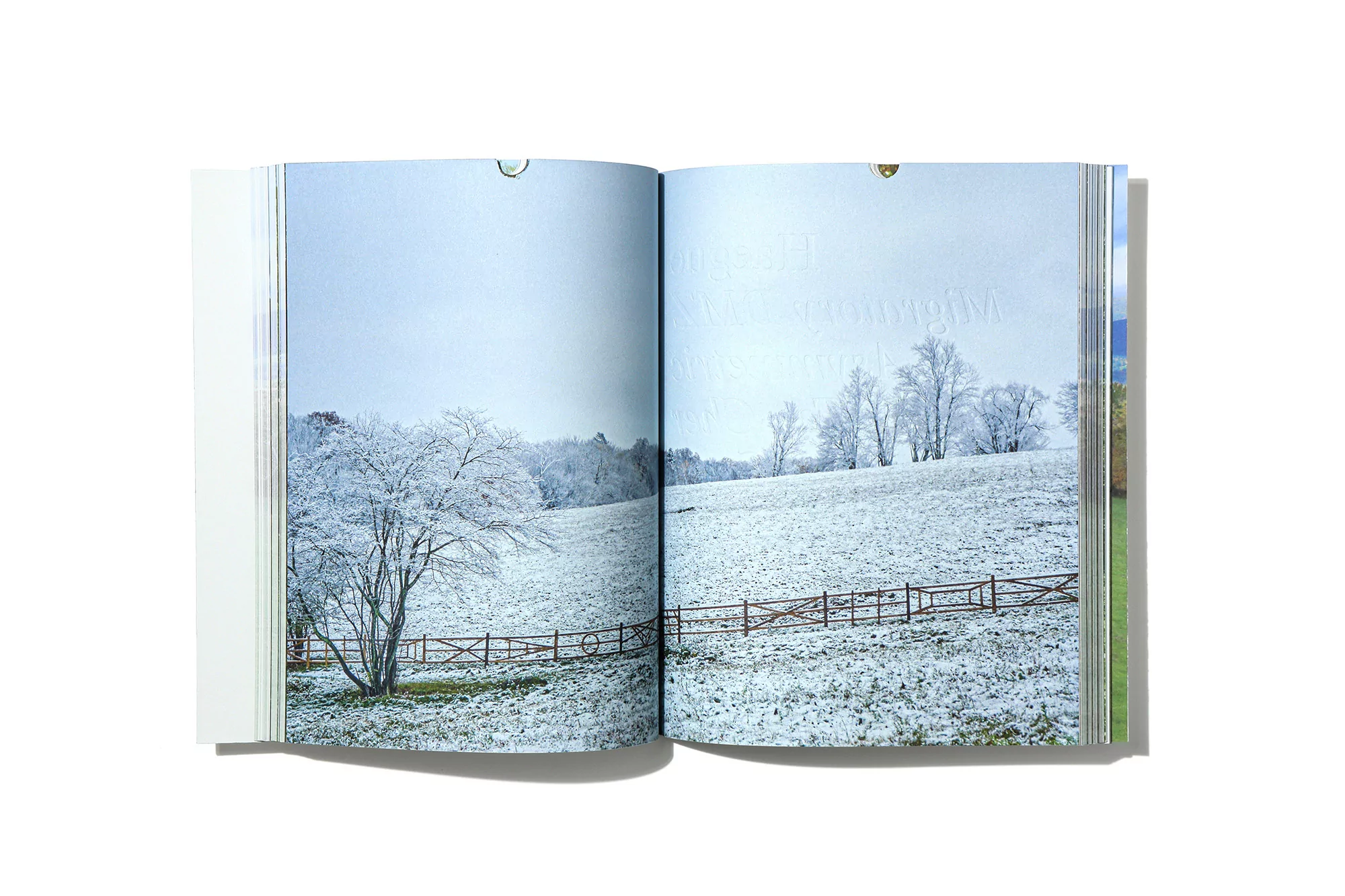 Landscape photograph in an open book shows a snow-covered field with a tree and fence under a light blue sky.