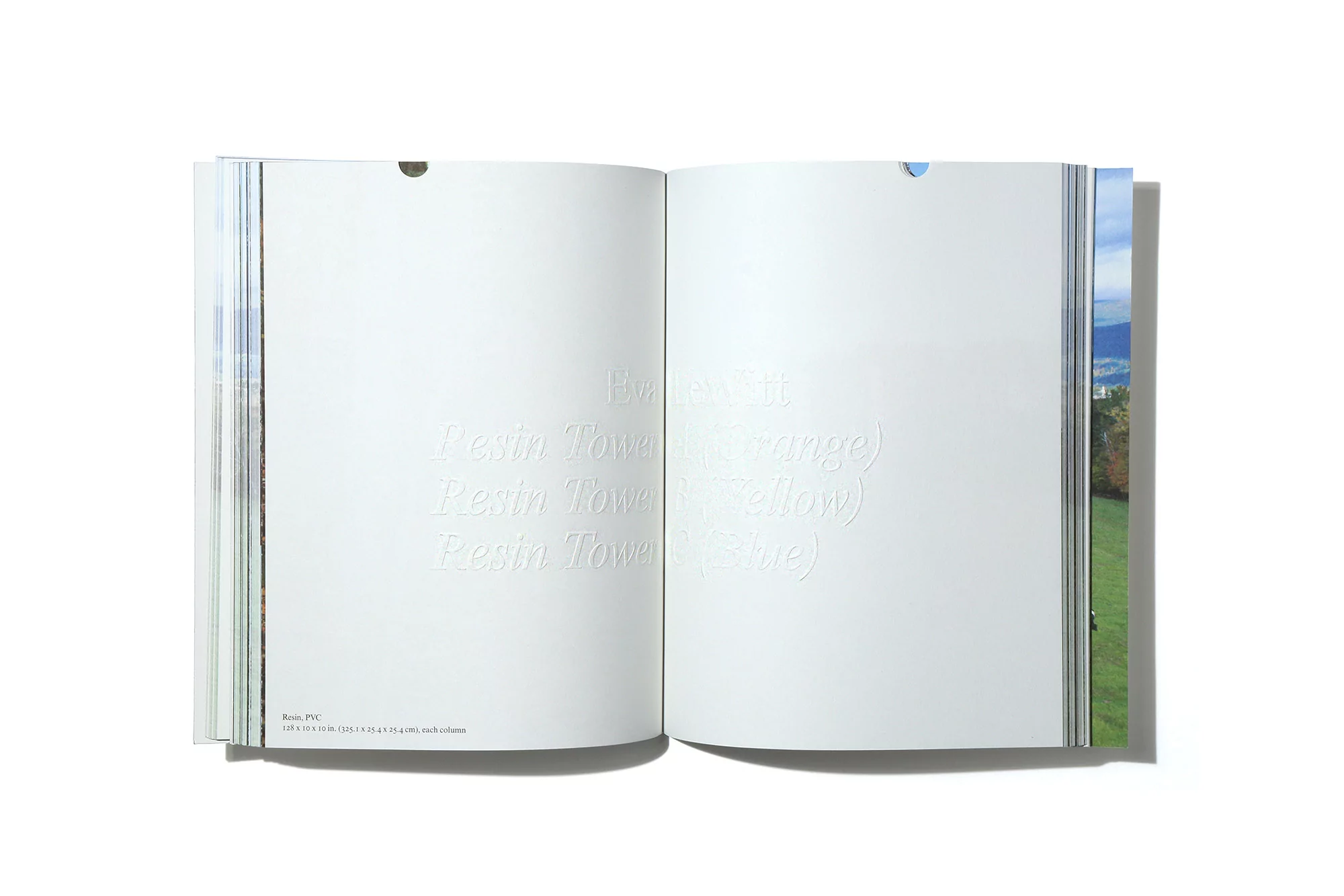 Opened book with white pages shows landscape view; left page has almost invisible words. Dominant colors: white, green, and blue.