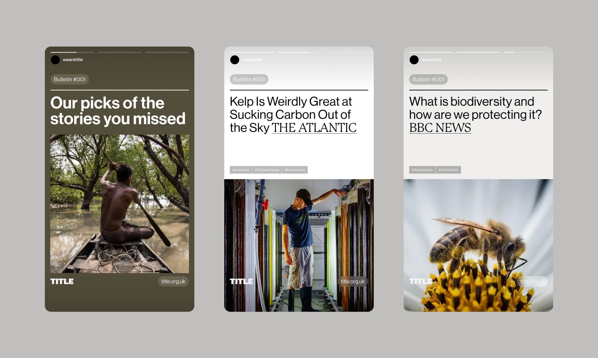 Three bulletin boards featuring nature-related content, including a man in a canoe, kelp farming, and a bee on a flower.