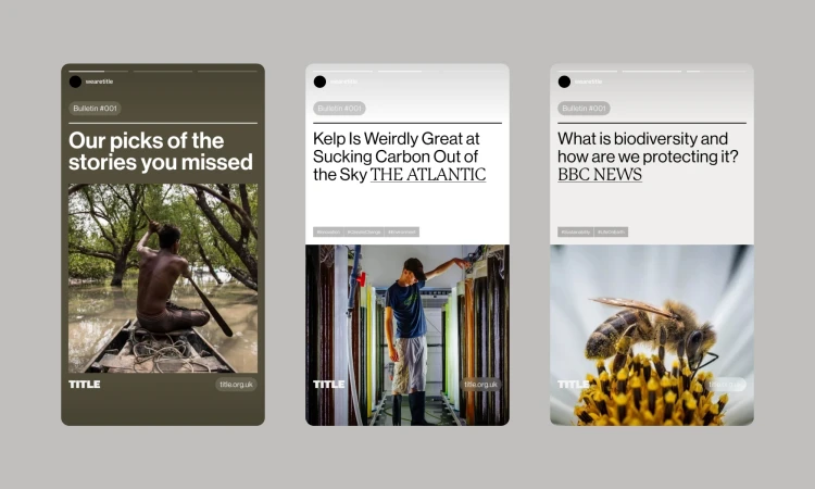 Three bulletin boards featuring nature-related content, including a man in a canoe, kelp farming, and a bee on a flower.