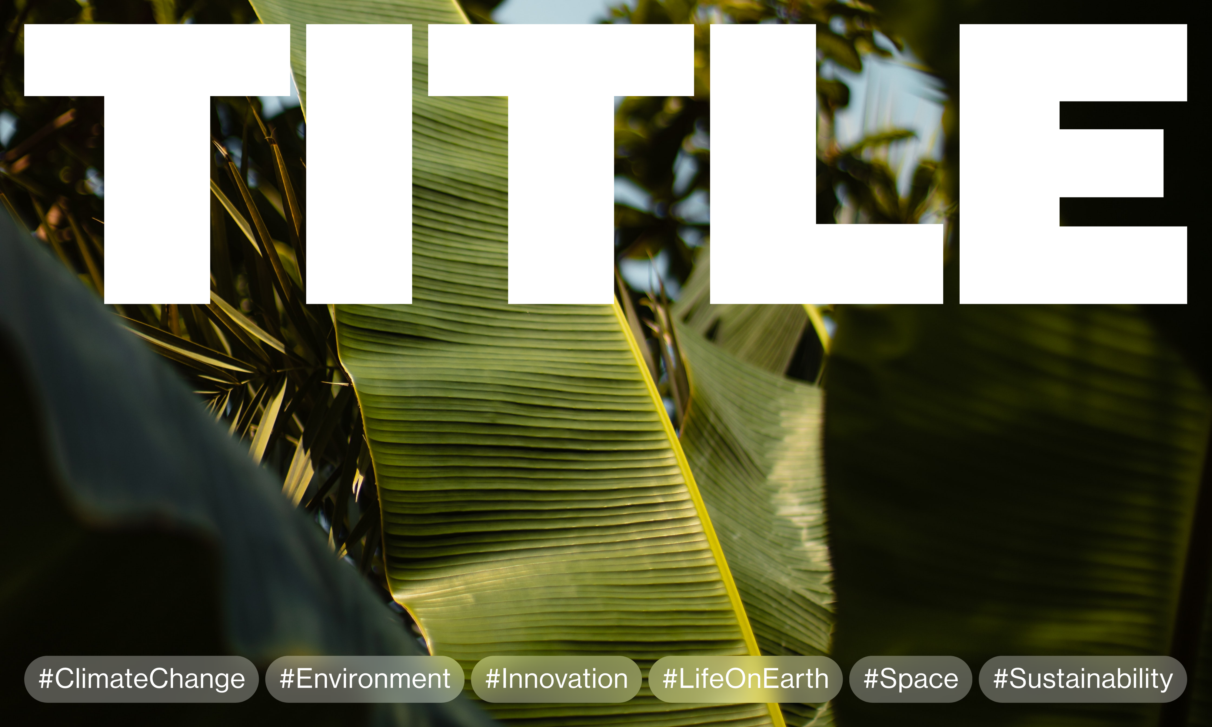 Bright, white 'TITLE' text overlaying vibrant green banana leaves and tropical foliage, creating a visually appealing nature graphic.