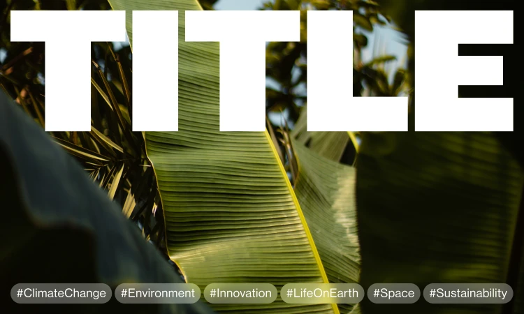 Bright, white 'TITLE' text overlaying vibrant green banana leaves and tropical foliage, creating a visually appealing nature graphic.