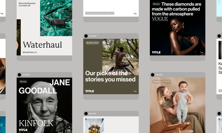 Collage of social media posts featuring eyewear, fashion, news, and lifestyle content from various sources on a gray background.