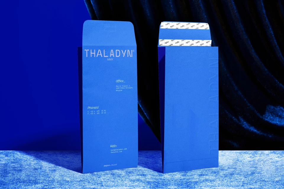 Brand Identity
