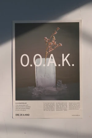 Poster featuring the text O.O.A.K. above a melting ice block with flowers, on a white wall with shadow. Unique and minimalist.