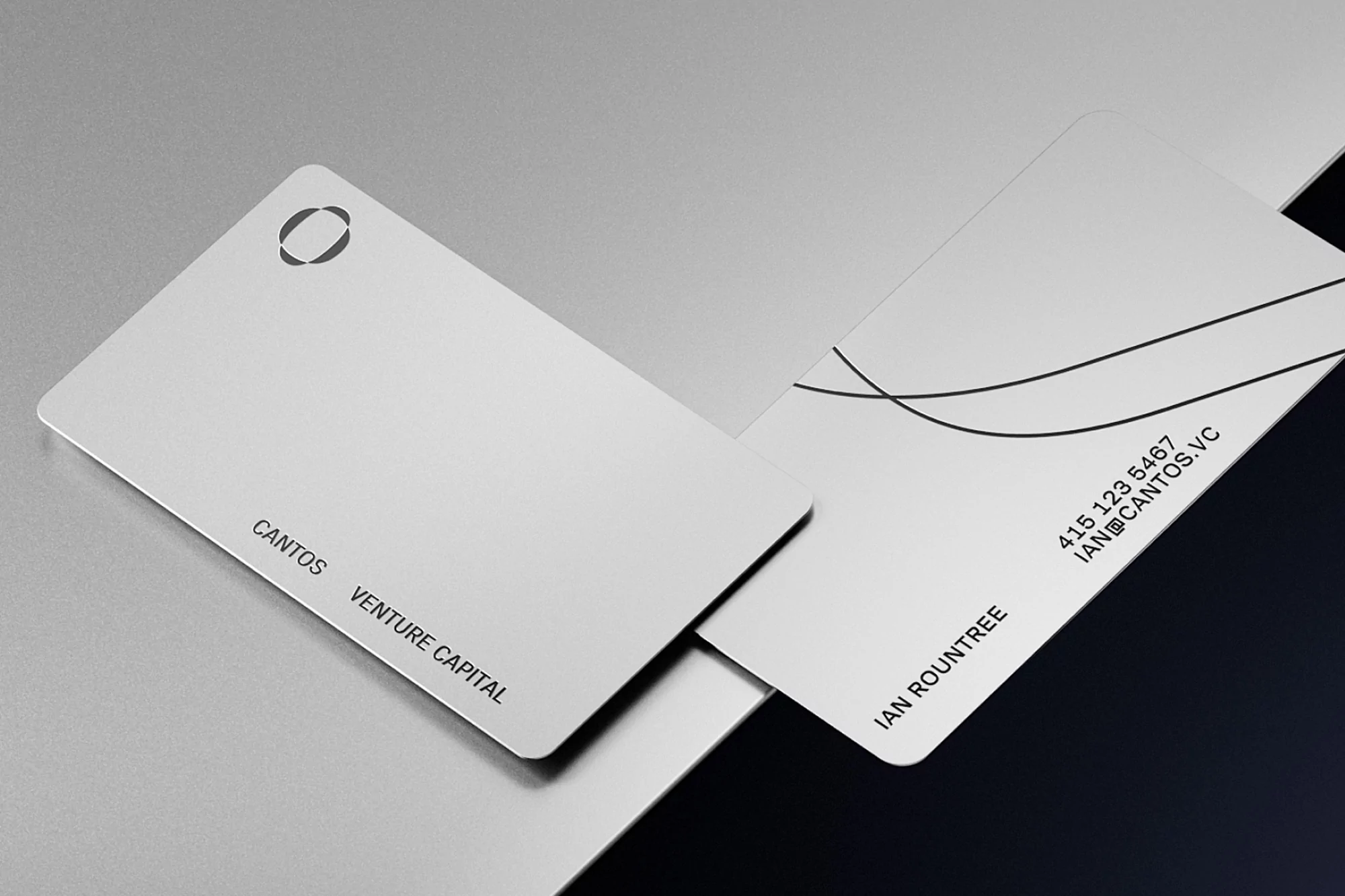 Sleek silver business cards featuring modern minimalist design and dark grey text, professionally displayed on a gradient grey surface.