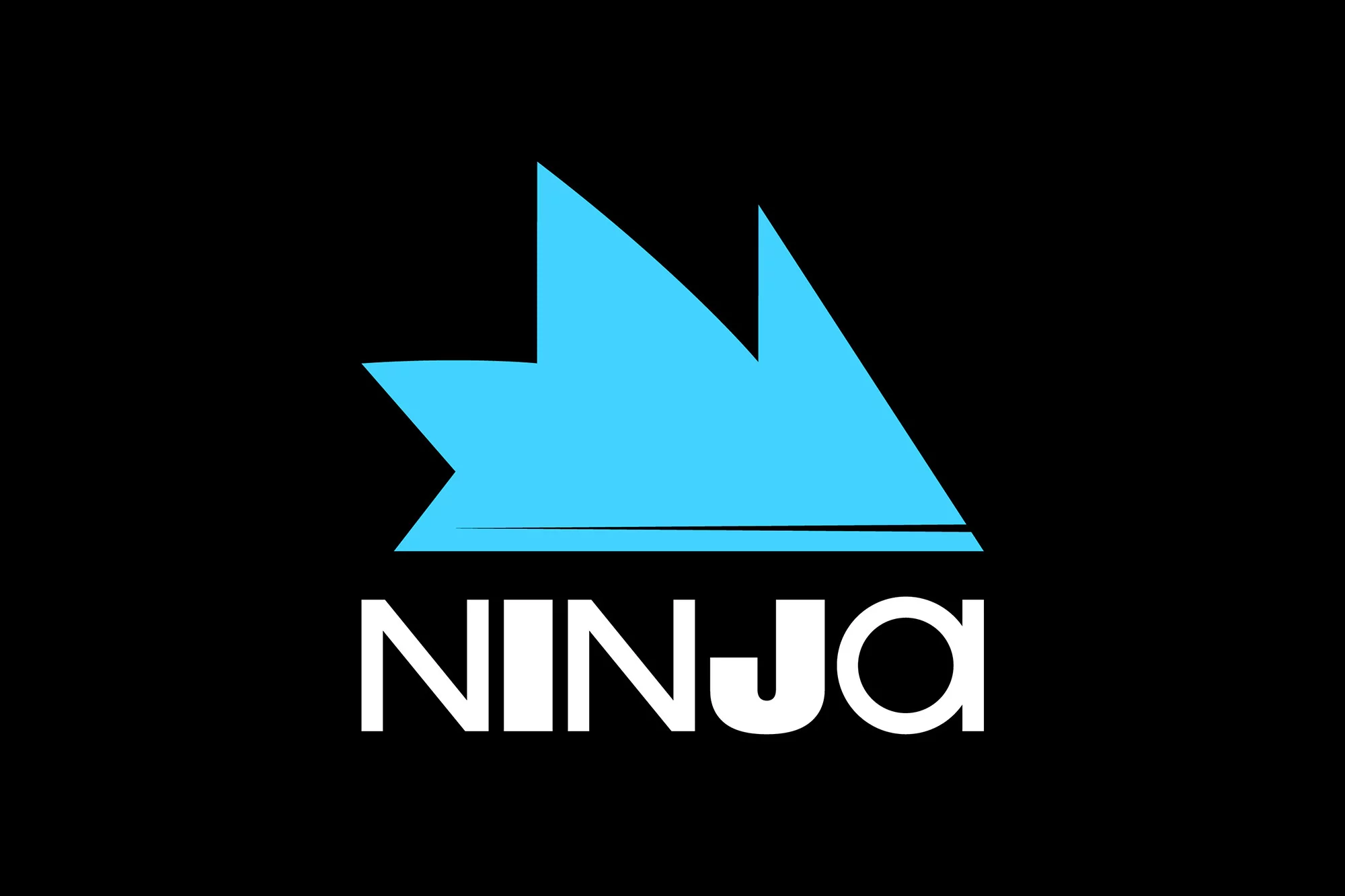 Logo of the word Ninja with stylized symbol above the word in light blue against a solid black background in a digitally rendered image.