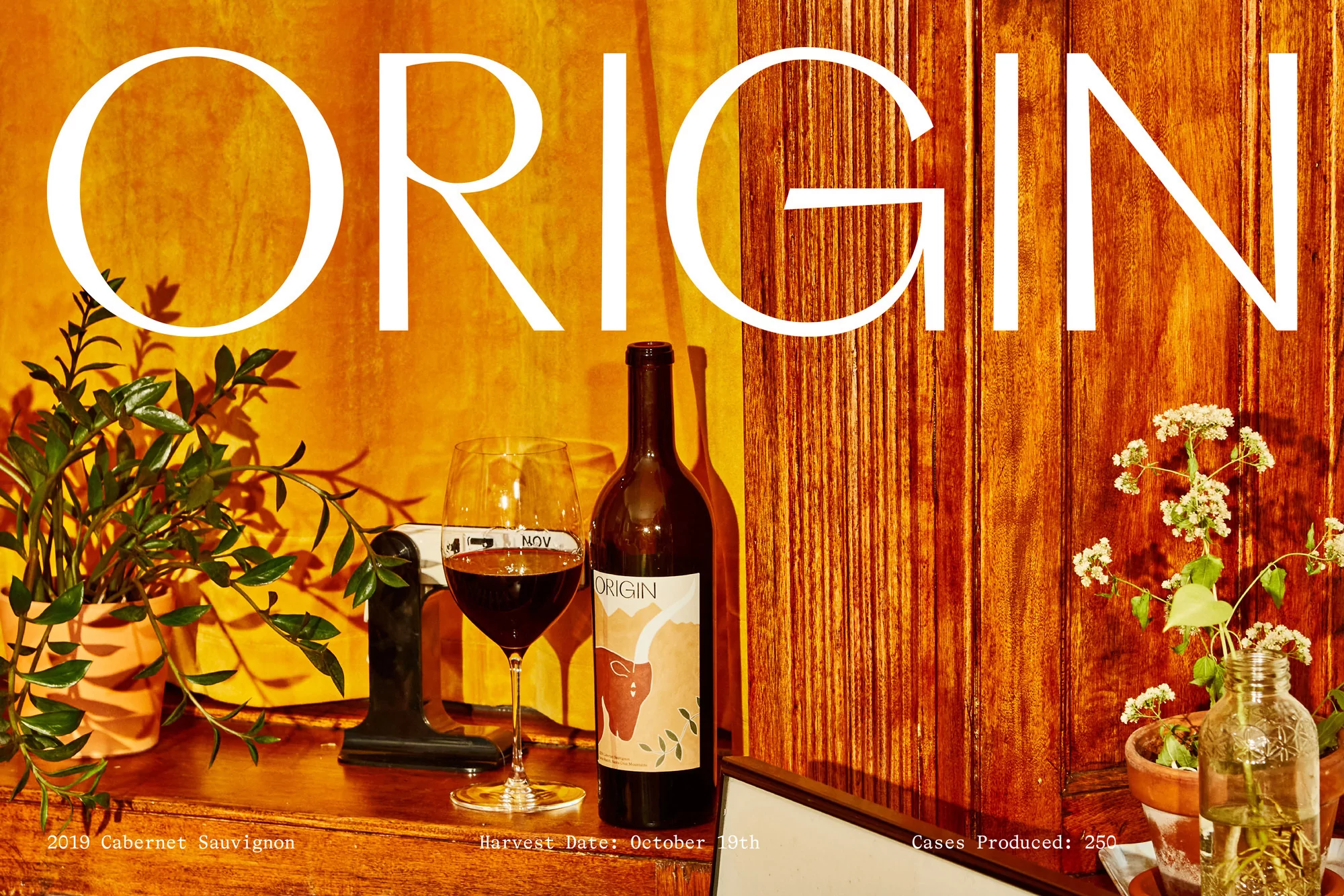 Still life featuring a bottle of Origin Cabernet Sauvignon wine, a glass of wine, plants, and the text “ORIGIN” in a warm, inviting setting.