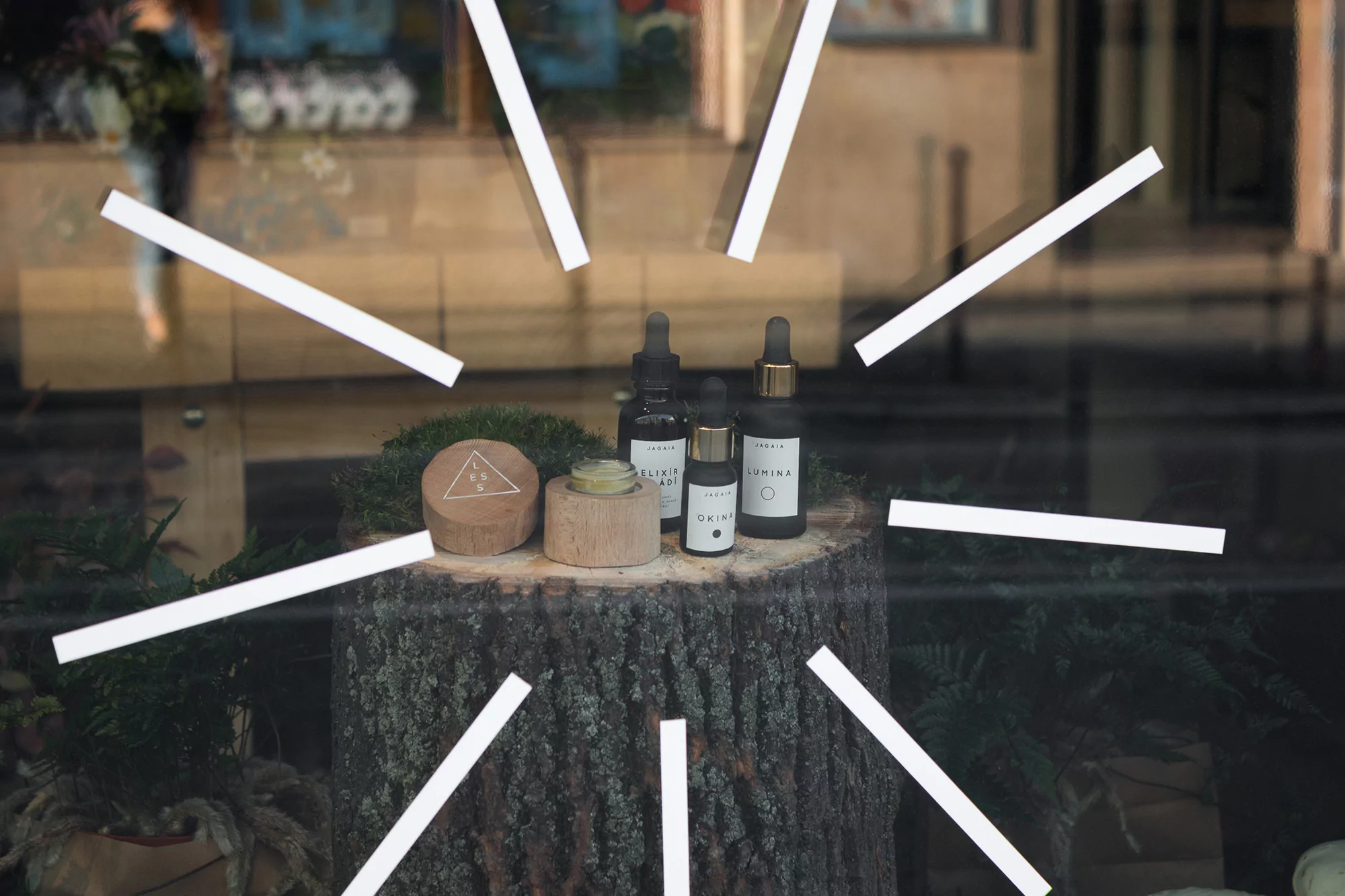 Product shot of Janaia skincare line featuring bottles and wooden containers displayed on a tree stump against a blurred background.