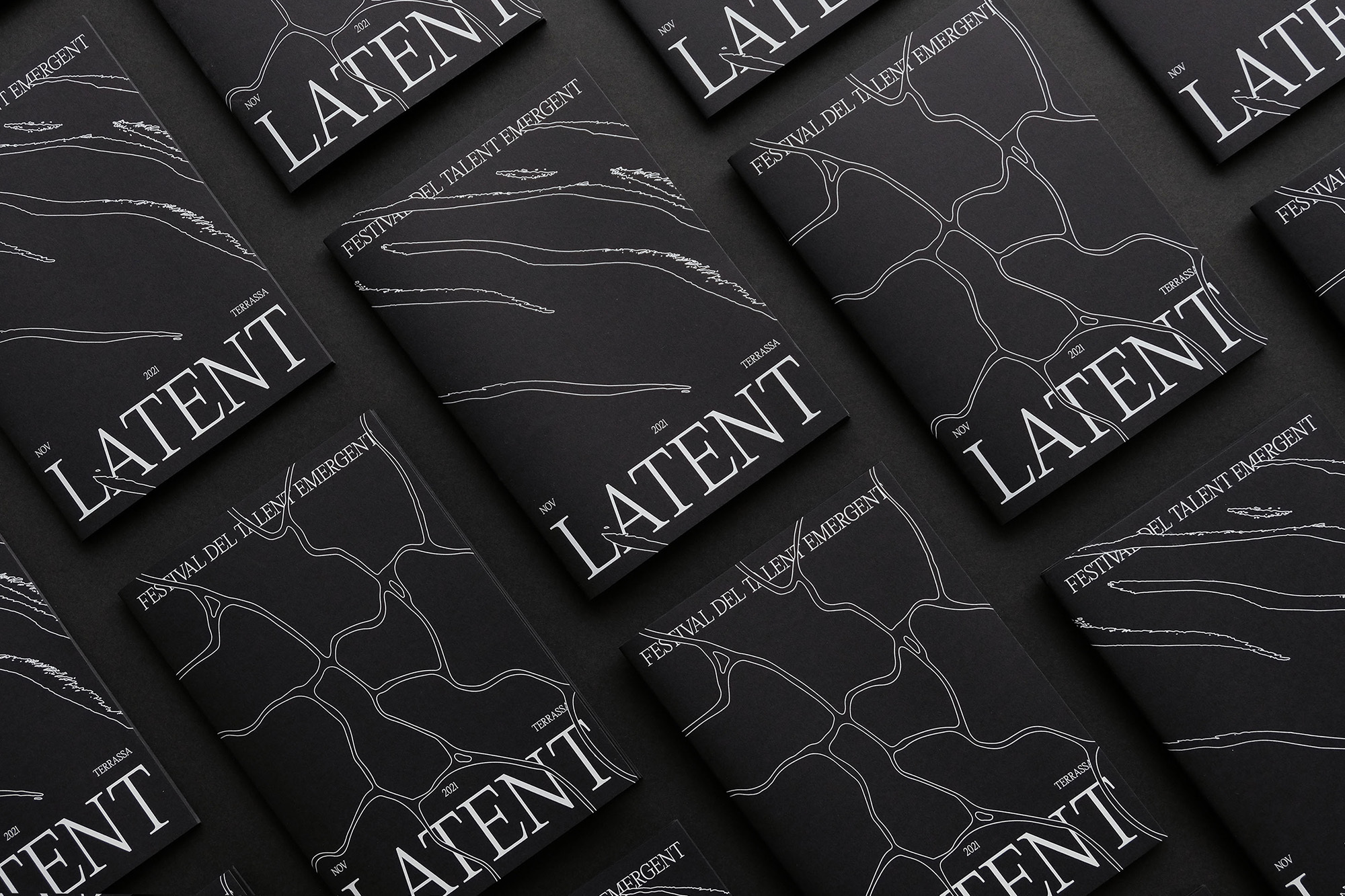 Multiple copies of a black book with white text and abstract white line art are arranged on a flat surface, creating a modern design.