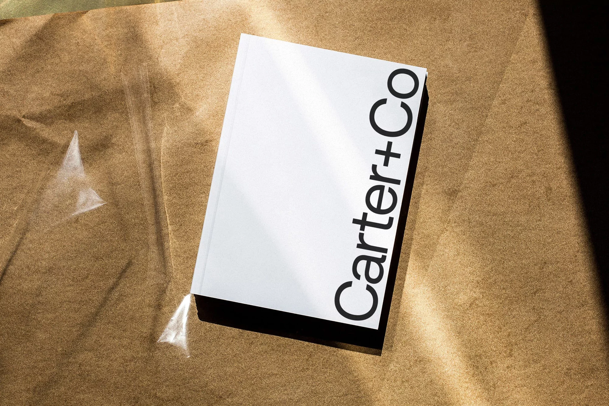 Carter+Co branding book on brown paper with natural light highlighting the cover, creating a minimalist and professional visual.