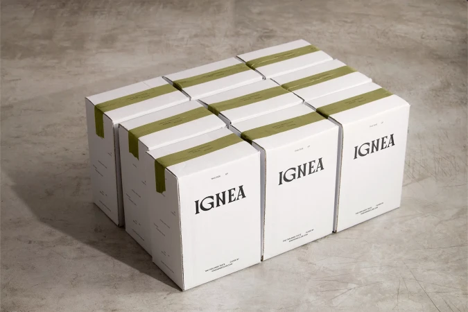 Group of stacked white boxes with green tape and black 'IGNEA' branding against a gray concrete background, product packaging.
