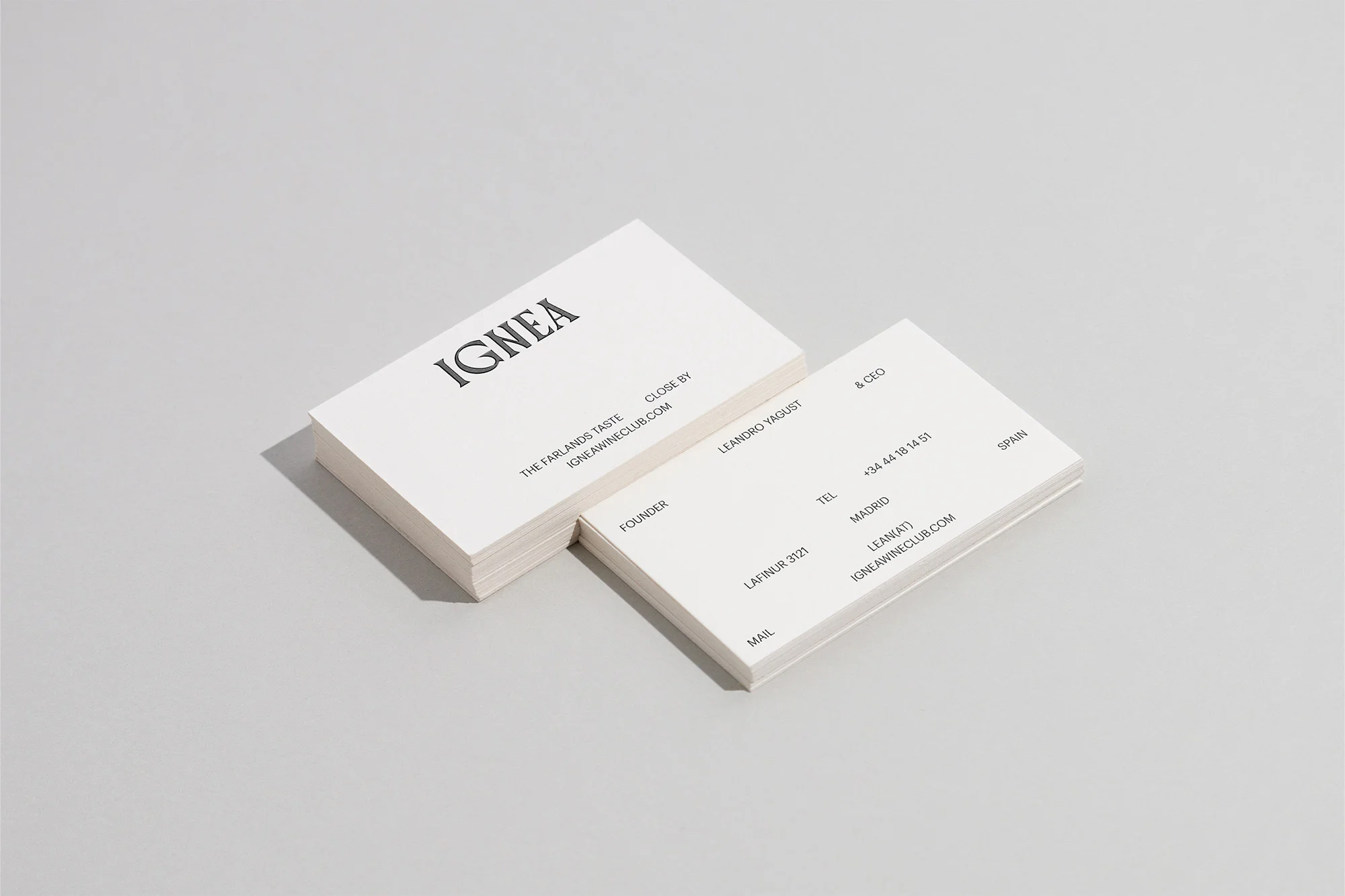 Stack of Ignea business cards featuring company name and contact details on a light grey background. Minimalist design.
