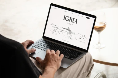 Person typing on a laptop computer displaying the IGNEA brand website with a wine glass on a small table beside them.