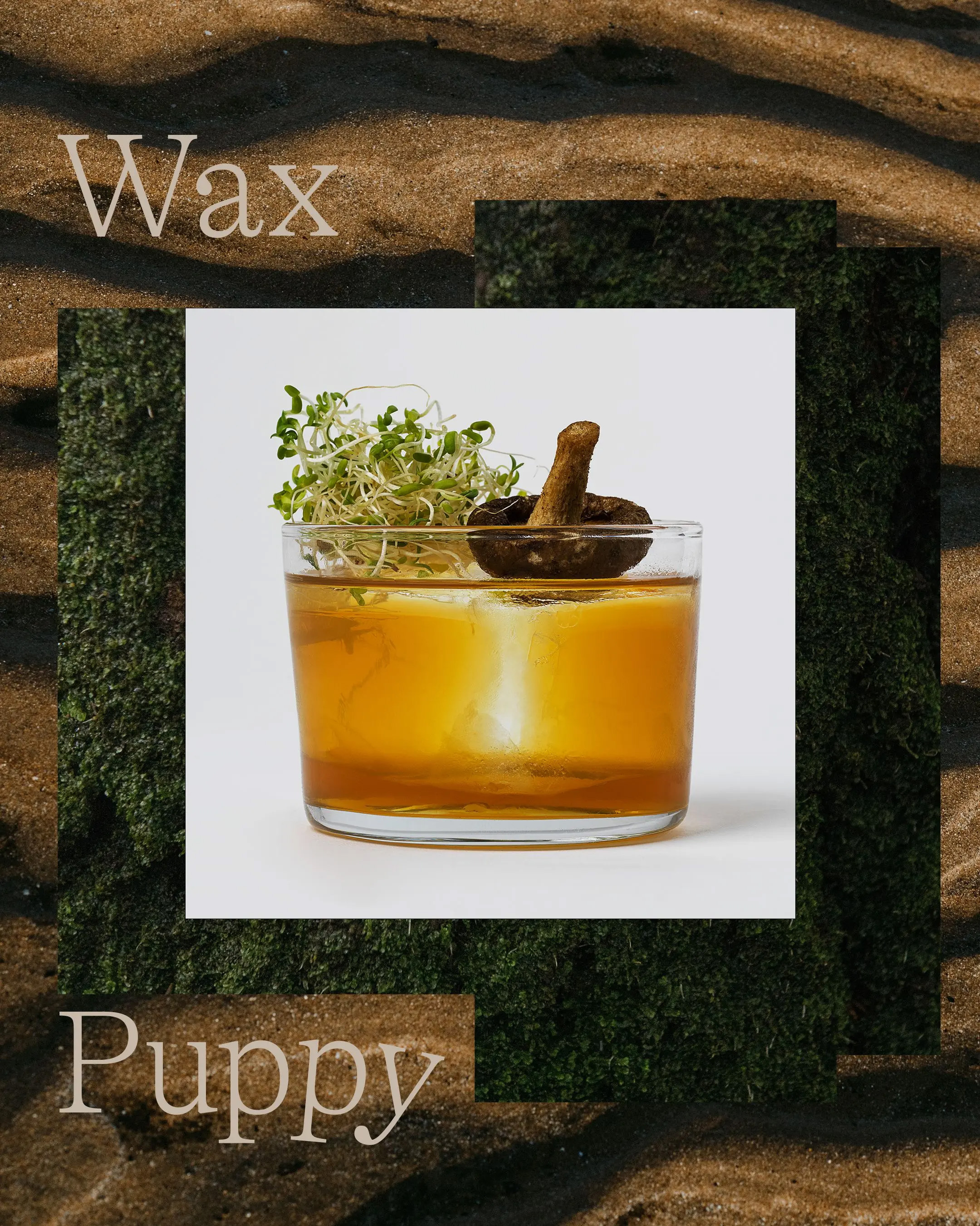 Studio shot of a cocktail in a glass with a mushroom garnish, set against an abstract collage of sand and seaweed textures.