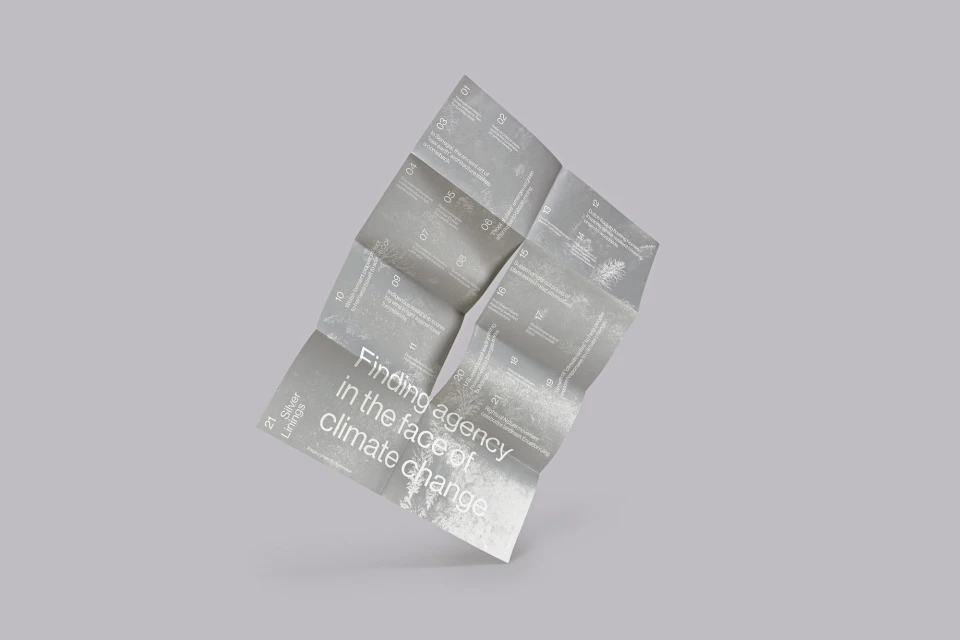 Brand Identity