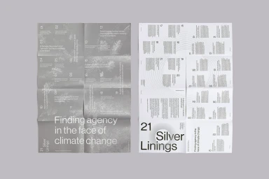 Two unfolded posters displaying typographic design and botanical imagery against a neutral grey background.